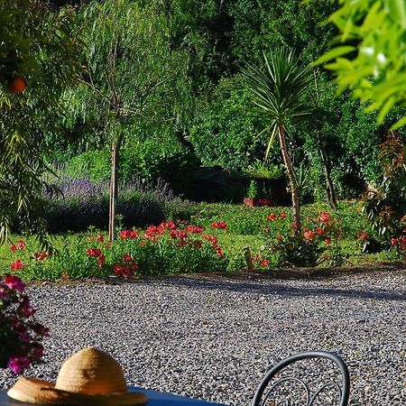 Agriturismo Coppi Rossi Torrazza  Екстер'єр фото