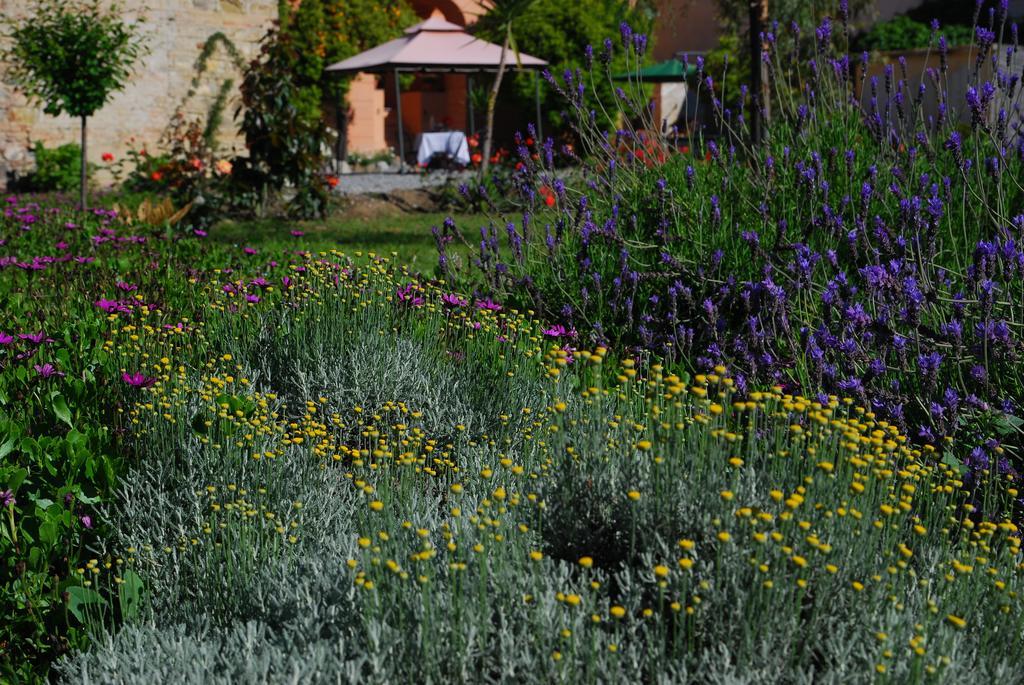 Вілла Agriturismo Coppi Rossi Torrazza  Екстер'єр фото