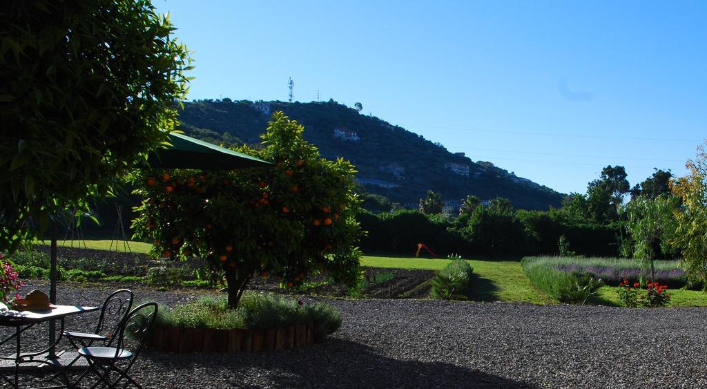 Вілла Agriturismo Coppi Rossi Torrazza  Екстер'єр фото